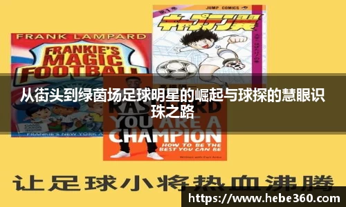 BOB半岛登录入口